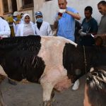 240649458_3814672978632684_4489003710812093769_n