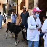 240682797_3814673255299323_4228843864530444151_n