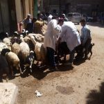 244421712_10220331895035400_8899026377717487556_n