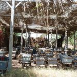 144619-منتجات-مزرعة-جامعة-سوهاج-(5)