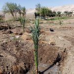 149644-منتجات-مزرعة-جامعة-سوهاج-(6)