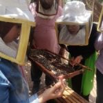 240871419_1145581302637682_5594049908830868813_n-225x300