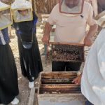 241185129_1105843276889431_8518150554981923047_n-225x300