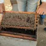 241356596_4238470789594289_5275976233681354917_n-300x169