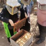 241380270_898032051141964_1298738776553075303_n-225x300