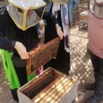 241380270_898032051141964_1298738776553075303_n-720x620