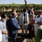 253657180_4031624666937513_2756564747396878693_n-768x512