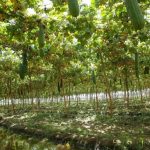 254267291_4031625136937466_1908143740748239187_n-768x512