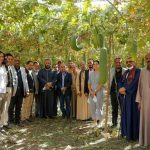 254674231_4031624893604157_4178271989754488114_n-768x512