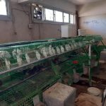 74701-منتجات-مزرعة-جامعة-سوهاج-(27)