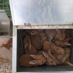 80815-منتجات-مزرعة-جامعة-سوهاج-(28)