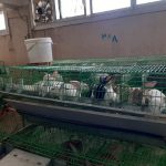 85686-منتجات-مزرعة-جامعة-سوهاج-(26)