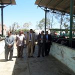 SAM_0011-1-1536x1152