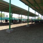 SAM_0032-1-1536x1152