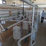 SAM_0048-1-1536x1152