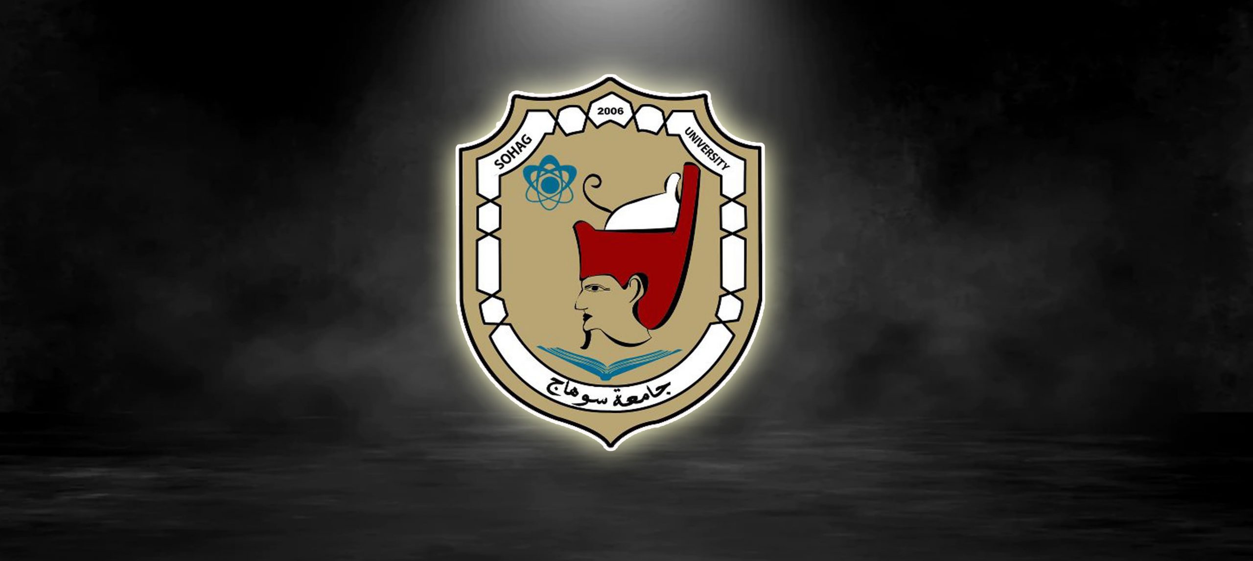 رئيس جامعة سوهاج يهنئ نواب سوهاج الفائزون برئاسة ووكالة أربعة من لجان مجلس النواب، ويثمن دور الهيئة البرلمانية للمحافظة